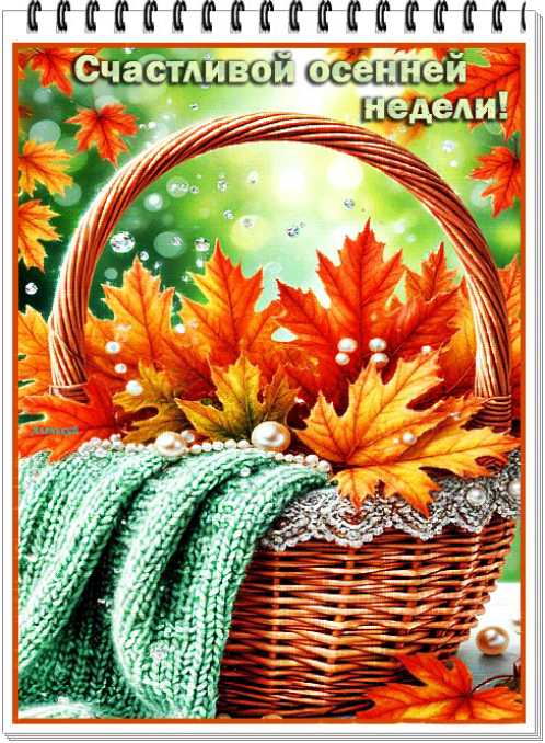 Картинки счастливой осенней недели !