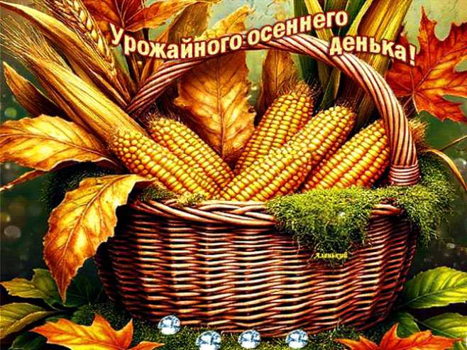 Урожайного осеннего денька !