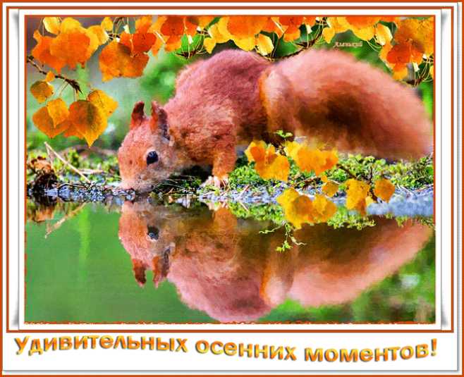 Удивительных осенних моментов !