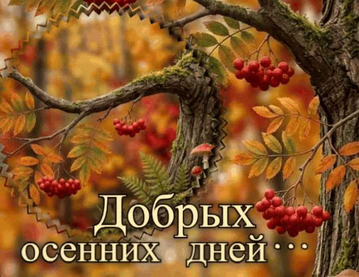 Доброго Дня ! Картинка gif