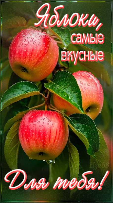 Яблоня