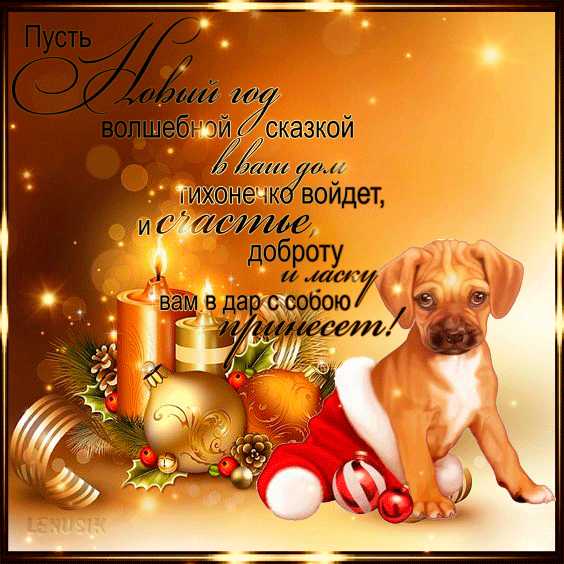 Поздравление С Новым Годом с собакой !