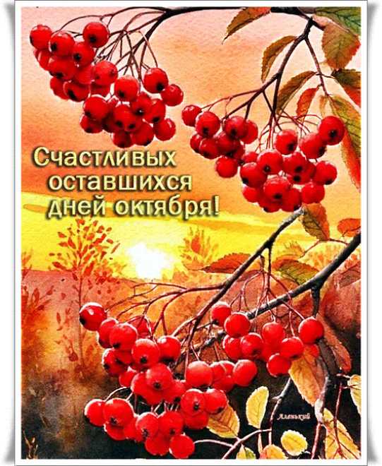 Счастливых оставшихся октябрьских дней !