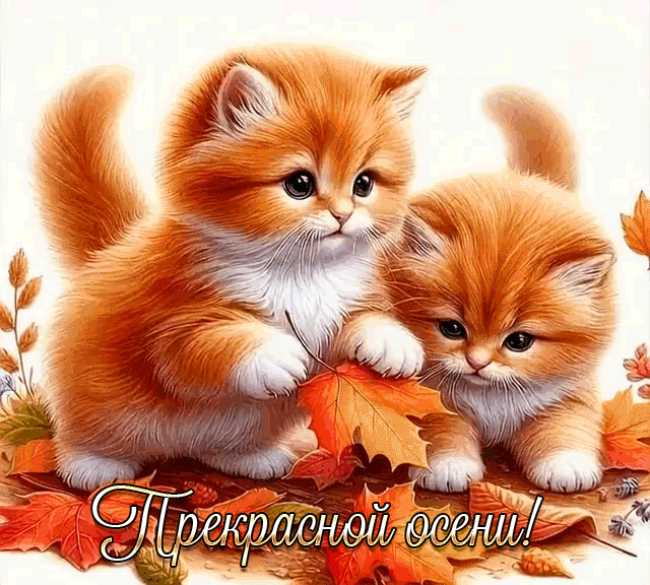 Прекрасной осени !